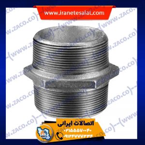 مغزی زاکو